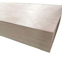 first-class poplar furniture/packing plywood 4*8'commercial plywood