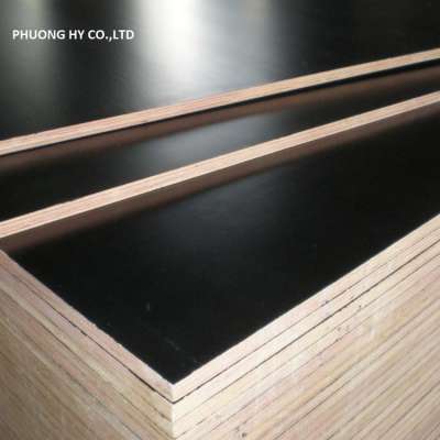 PH Film faced plywood or black film faced plywood white poplar veneer hardwood plywood