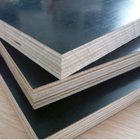 Film Faced Plywood made in Vietnam: best price