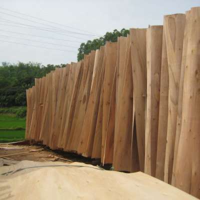 Vietnam pine core veneer to make Plywood