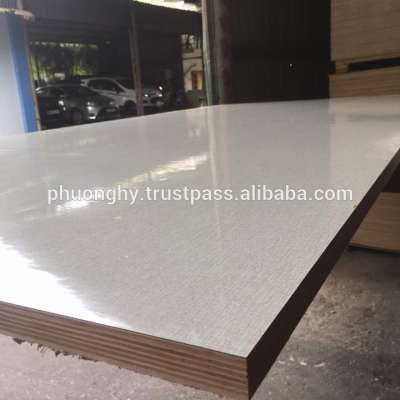 1220x2440mm Viet Nam Film Faced Plywood