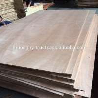 24mm to 32mm plywood Best quality cheap price per sheet plywood from Viet Nam